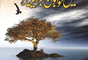 umera ahmed novel