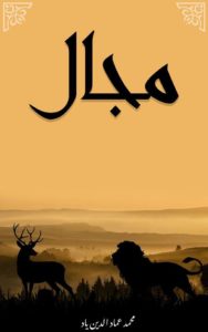 مجال - عماد حسن