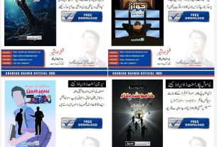 4 best urdu novels by top author shahzad bashir